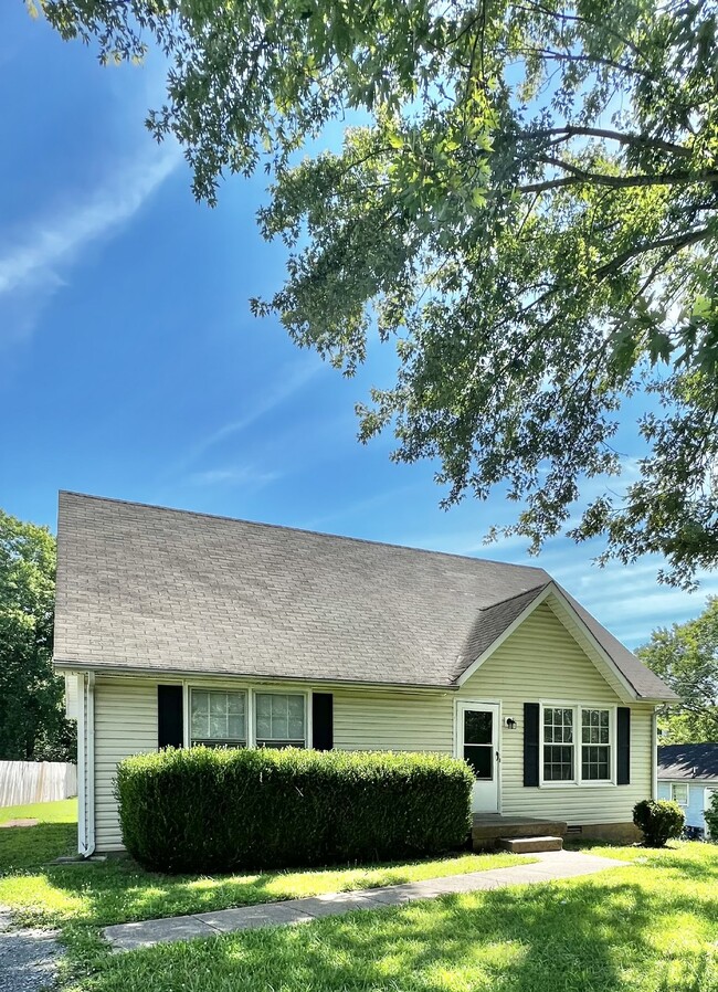 property at 1803 Palamino Dr