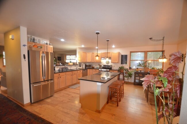 3215 River Dr in Alma, CO - Building Photo - Building Photo