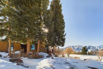 209 E Reds Rd in Aspen, CO - Building Photo - Building Photo