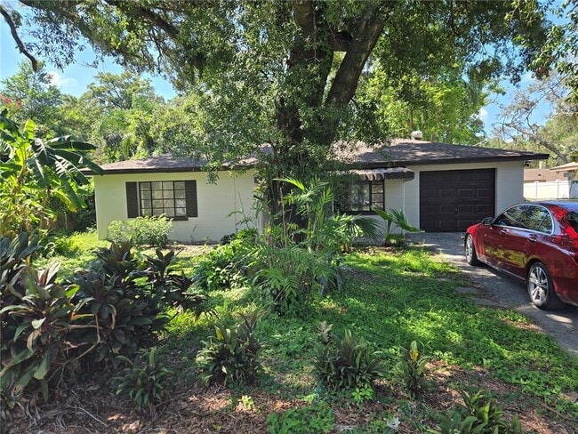 804 W Linebaugh Ave in Tampa, FL - Foto de edificio - Building Photo