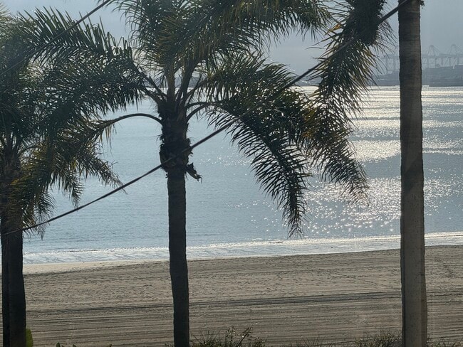 1816 E Ocean Blvd, Unit 1816