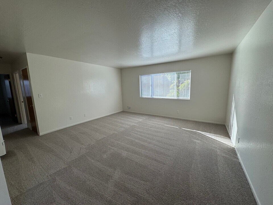 400 Stannage Ave in Albany, CA - Building Photo