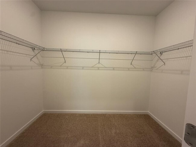 3915 Big Sky Dr in Spring Hill, FL - Building Photo - Building Photo