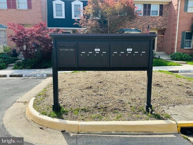 8251 Clifton Farm Ct in Alexandria, VA - Foto de edificio - Building Photo