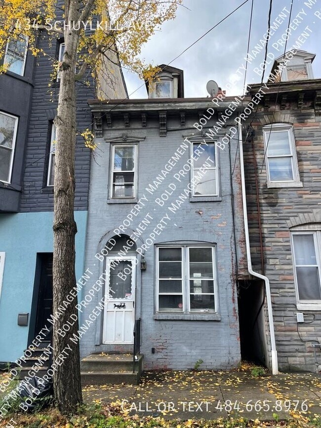 property at 434 Schuylkill Ave