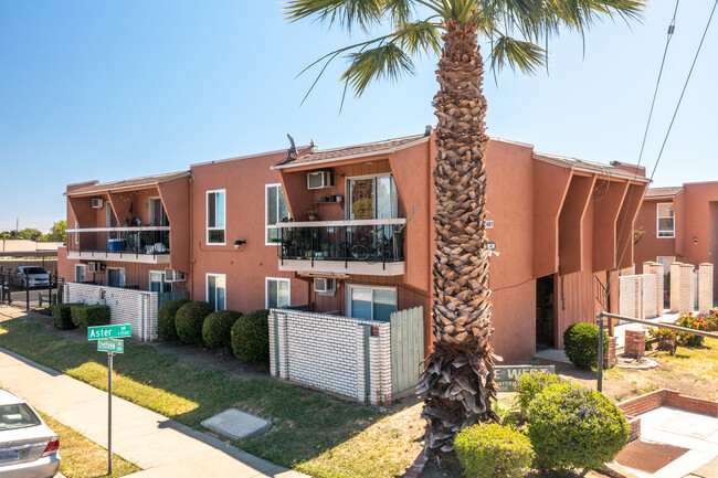 The Village West Apartments in Antioch, CA - Foto de edificio - Building Photo