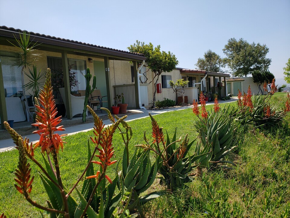 Vista Del Pacifico Apartments in San Ysidro, CA - Building Photo