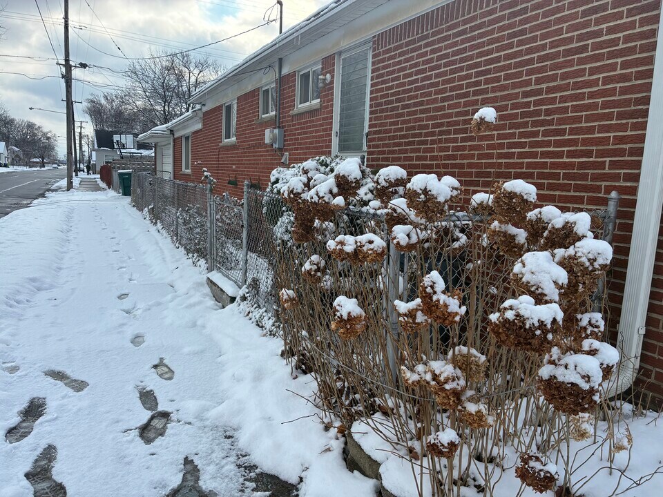 1353 Stewart Ave in Lincoln Park, MI - Building Photo