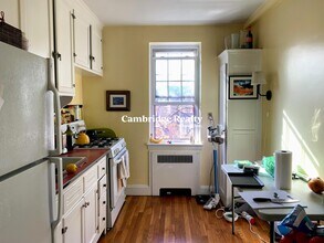 16 Ware St, Unit 32 in Cambridge, MA - Building Photo - Building Photo