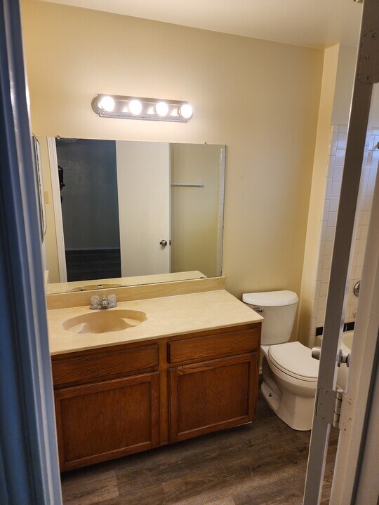 911 Wellridge Dr in Arlington, TX - Building Photo