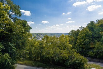 2005 Calvin Cliff St in Cincinnati, OH - Building Photo - Building Photo