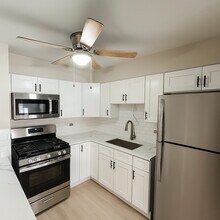 4603 Grove Ave in Brookfield, IL - Building Photo - Building Photo