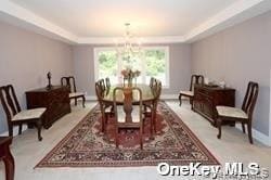 165 Circle Rd in Syosset, NY - Building Photo - Building Photo