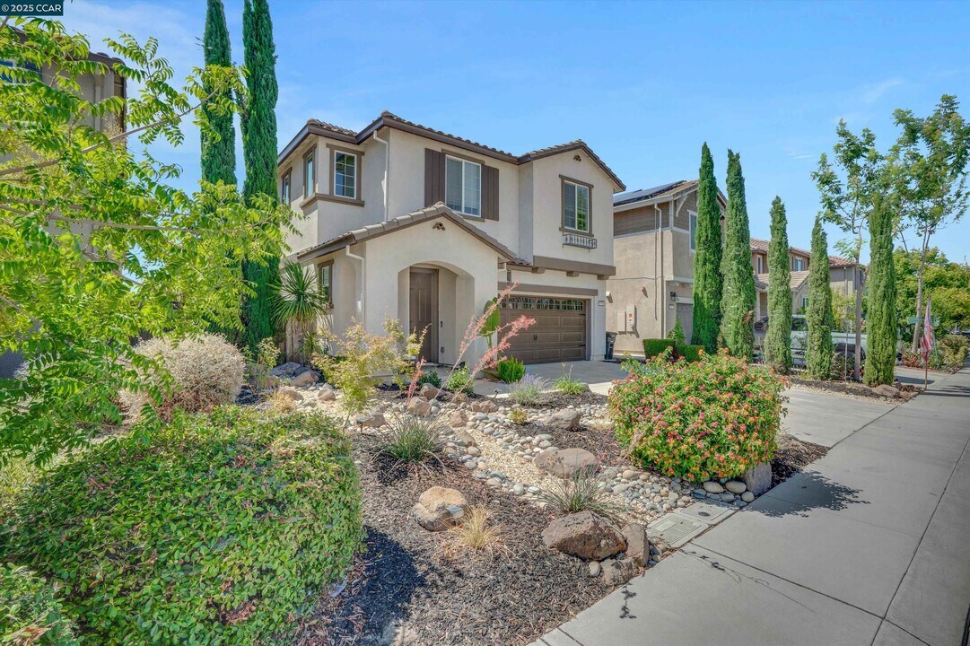 351 Coolcrest Dr in Oakley, CA - Building Photo