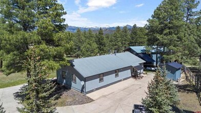 40 Peregrine Pl in Pagosa Springs, CO - Building Photo - Building Photo