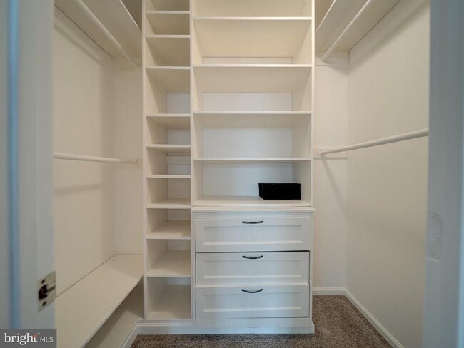 3019 Spice Bush Rd in Laurel, MD - Building Photo - Building Photo