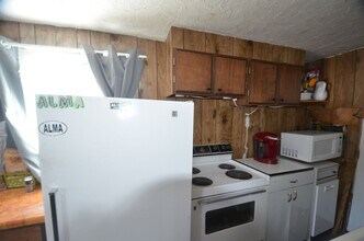 33 S Oak St in Alma, CO - Building Photo - Building Photo