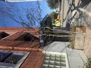 2502 Live Oak St in Dallas, TX - Foto de edificio - Building Photo