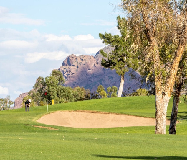 Casas Alquiler en Uptown Phoenix, AZ