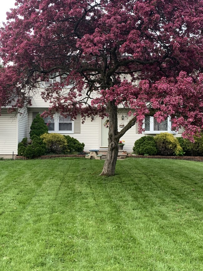 property at 7361 Cedar Post Rd