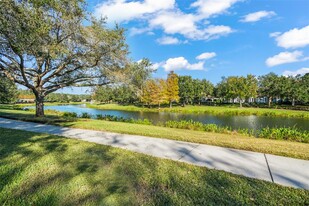 11407 Camden Park Dr in Windermere, FL - Building Photo - Building Photo