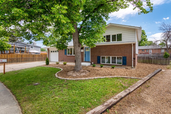 1011 Yeager Dr in Longmont, CO - Building Photo - Building Photo