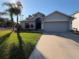 10214 Summer Azure Dr in Riverview, FL - Building Photo