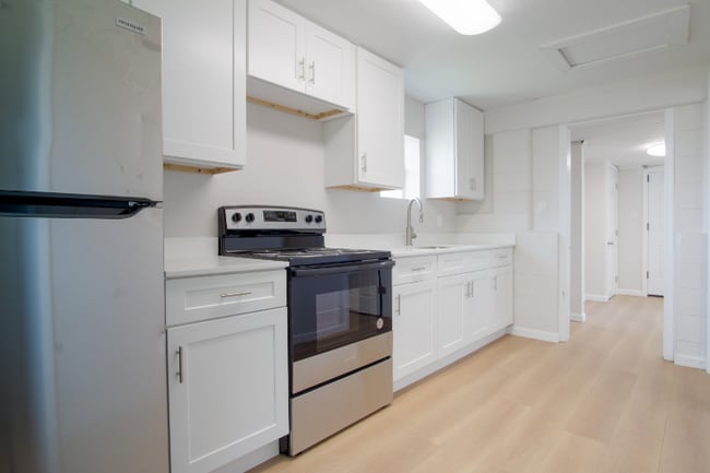 37705 Primo Dr in Dade City, FL - Building Photo - Building Photo