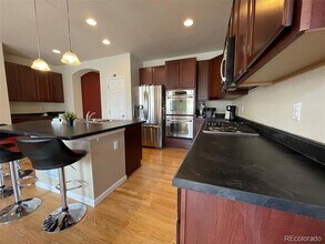 17784 Coral Burst St in Parker, CO - Building Photo - Building Photo