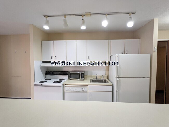 123 Sewall Ave in Brookline, MA - Building Photo - Building Photo