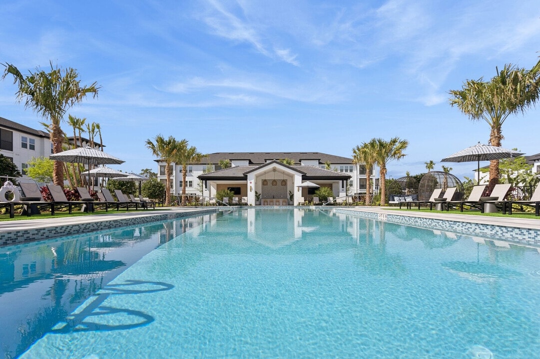 Ascend Angeline in Land O Lakes, FL - Foto de edificio