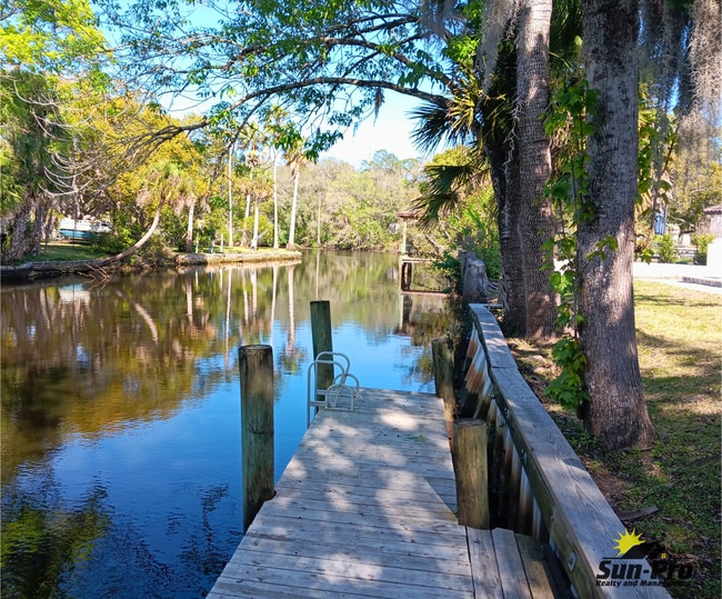 9 Waterberry Cir in Ormond Beach, FL - Foto de edificio - Building Photo