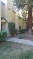 9117 Newhall Dr in Sacramento, CA - Building Photo
