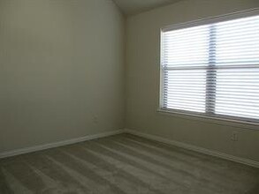 26502 Green Heron Dr in Katy, TX - Building Photo - Building Photo