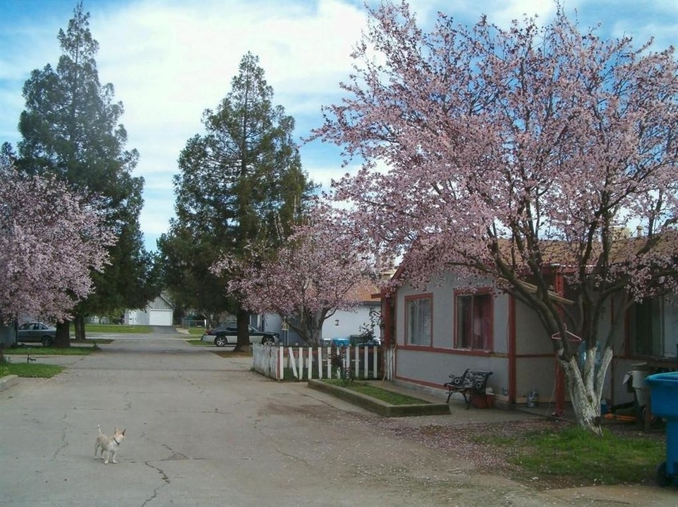 4106 George Ave in Olivehurst, CA - Building Photo