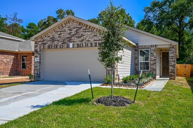 27638 Mesabe Dr in Magnolia, TX - Building Photo - Building Photo