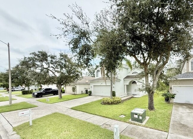 1647 Gray Bark Dr in Oldsmar, FL - Building Photo - Building Photo