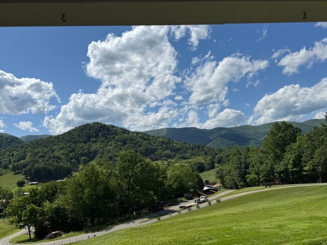 296 Willow Creek Rd in Leicester, NC - Building Photo - Building Photo