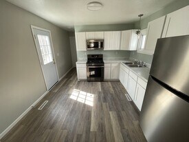 133 N Locust St in Adrian, MI - Building Photo