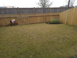 27830 Western Crk Ct in Katy, TX - Building Photo - Building Photo