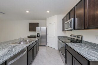 15517 Black Pepper Ln in Odessa, FL - Foto de edificio - Building Photo