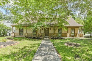 28902 Twisted Oak Dr in Shenandoah, TX - Building Photo