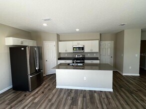34200 Scarlet Sage Ct in Wesley Chapel, FL - Building Photo - Building Photo
