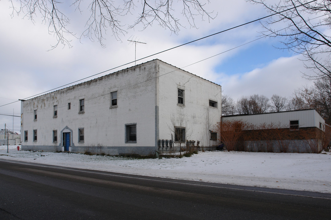 102 E Elm St in Carson City, MI - Building Photo