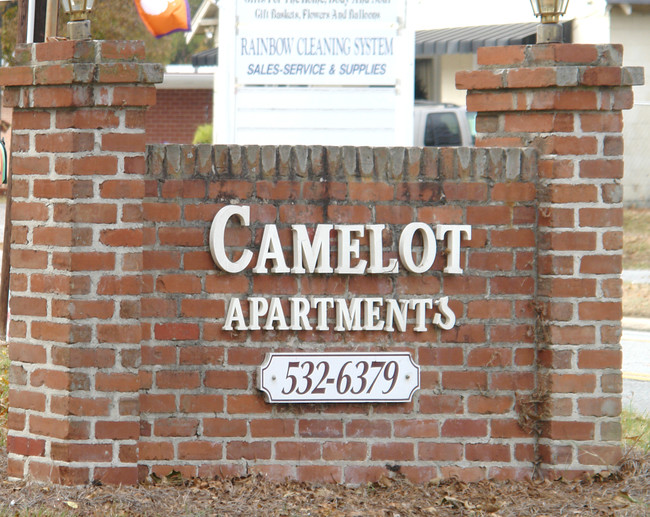 Camelot Apartments in Leesville, SC - Foto de edificio - Building Photo