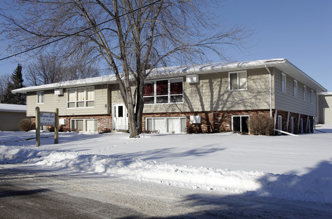 40 Congress St E in Maple Lake, MN - Building Photo - Building Photo