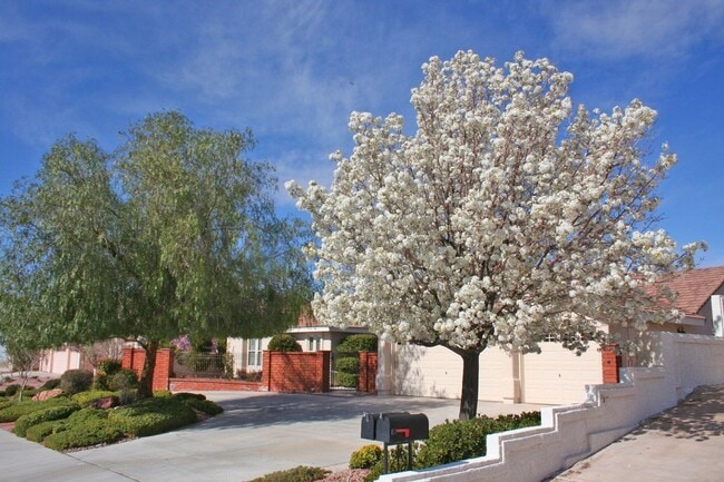 1632 Georgia in Boulder City, NV - Building Photo - Building Photo