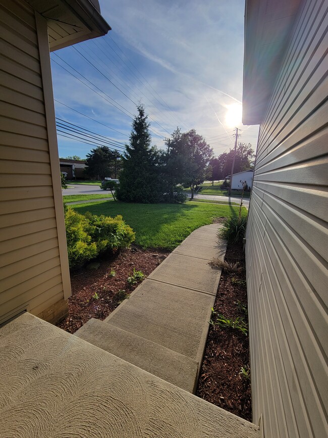 6585 Grosse Dr in Brook Park, OH - Building Photo - Building Photo