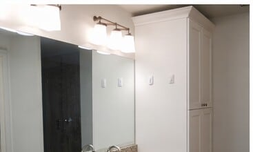 1135 Dover Ct in Safety Harbor, FL - Building Photo - Building Photo