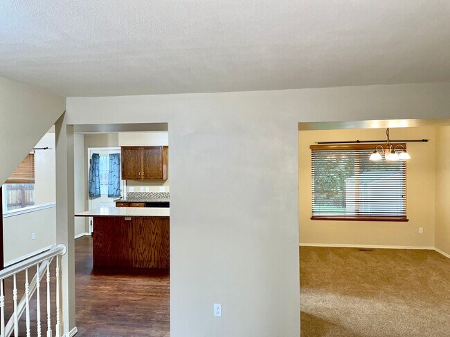 7831 Swiftrun Rd in Colorado Springs, CO - Foto de edificio - Building Photo